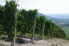 IMGP0679